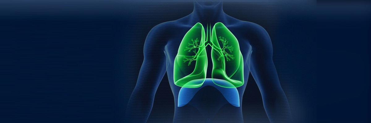 Protective Ventilation And Lung Transplantation Surgery